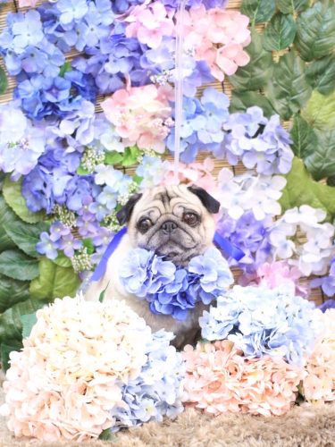 20250610くりこちゃん